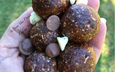 Bliss Balls – Chocolate Brownie