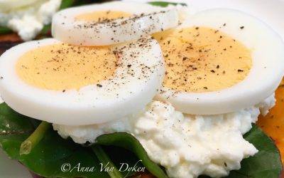 Cottage Cheese, Spinach & Egg On Pumpkin Rounds